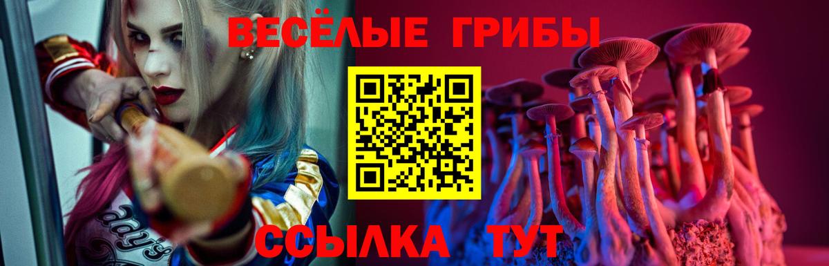 Псилоцибиновые грибы мицелий Кызыл