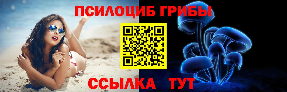 Псилоцибиновые грибы Magic Shrooms  Псилоцибиновые грибы Cubensis  Кызыл  Вход с VPN 